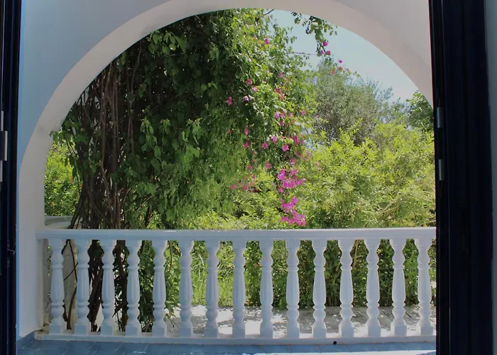 Blue Antonia * Laganas